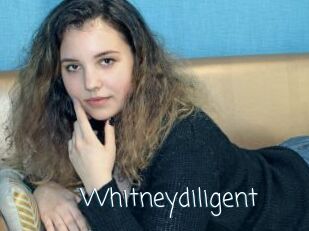 Whitneydiligent
