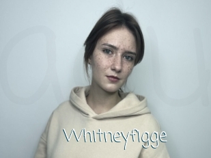 Whitneyfigge