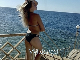 Wildangel