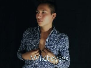 Wildboysex