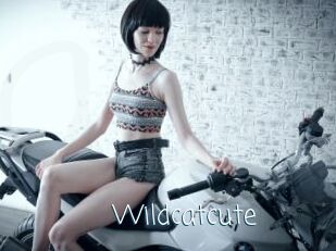 Wildcatcute