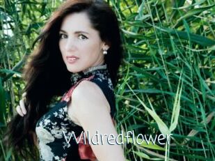 Wildredflower