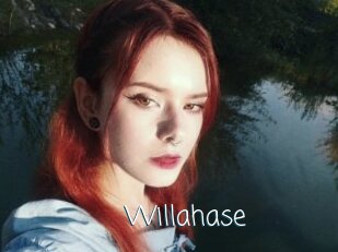 Willahase