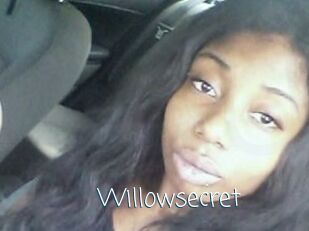 Willow_secret