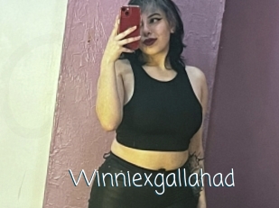Winniexgallahad