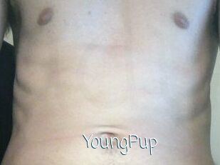YoungPup