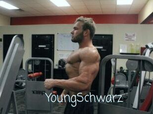 YoungSchwarz