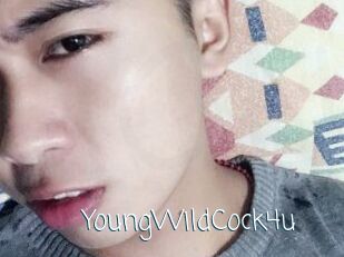 YoungWildCock4u