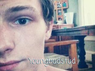 Youngbudstud