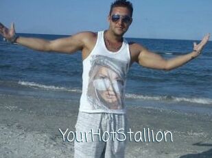 YourHotStallion
