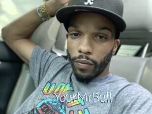 YourMrBull