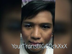 YourTransBIGCOckXxX