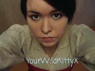 YourWildKittyX