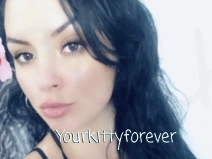 Yourkittyforever