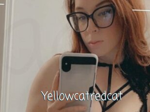 Yellowcatredcat