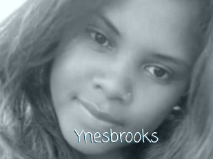 Ynesbrooks