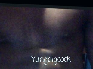 Yungbigcock