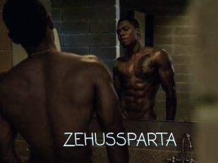 ZEHUS_SPARTA