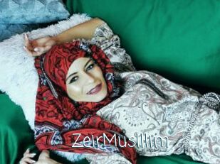 ZeirMuslllim