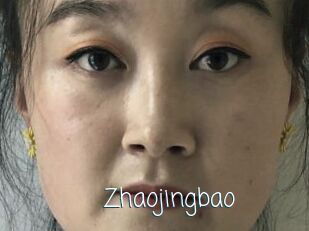 Zhaojingbao