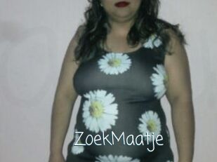 ZoekMaatje