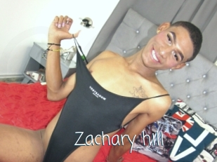 Zachary_hill