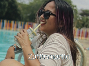 Zattinmartin
