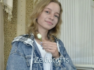 Zeldacatts