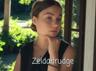 Zeldadrudge