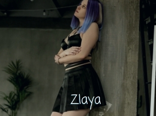 Zlaya