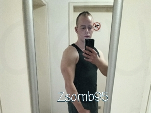 Zsomb95